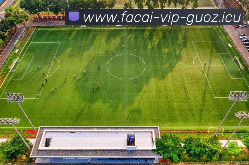 开云体育注册平台生态图